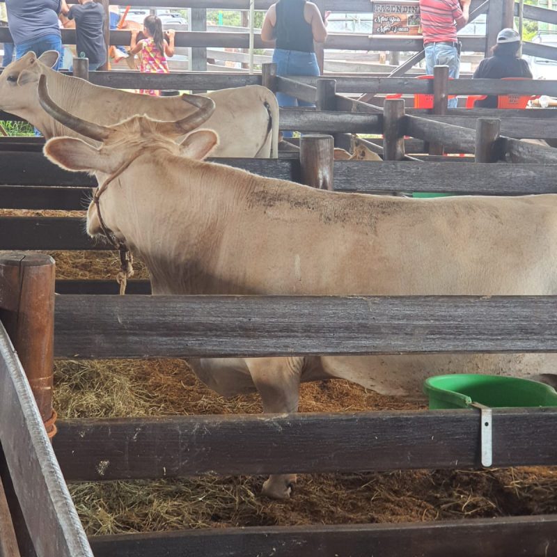 18ª CooperShow – 2025