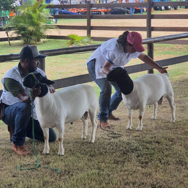 18ª CooperShow – 2025