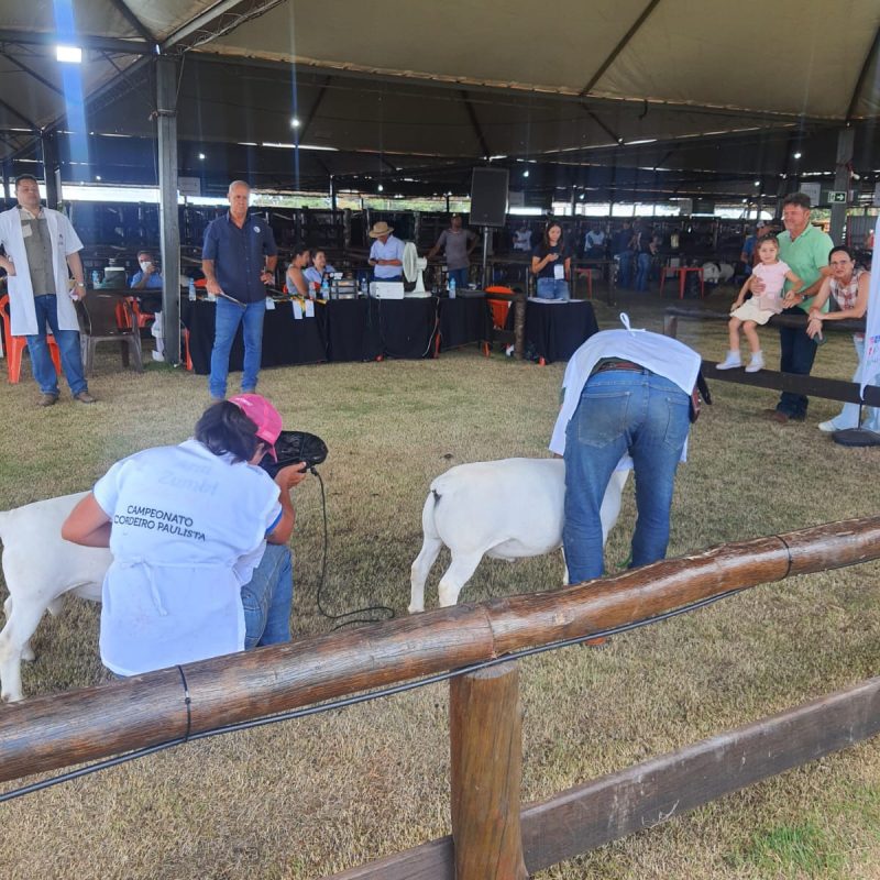 18ª CooperShow – 2025