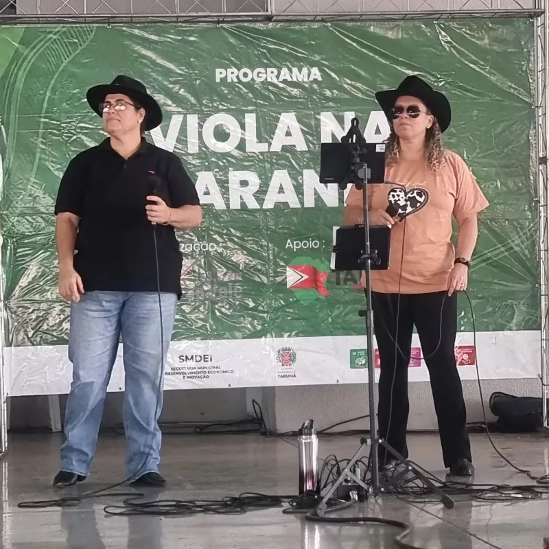 Viola na Varanda – 2025