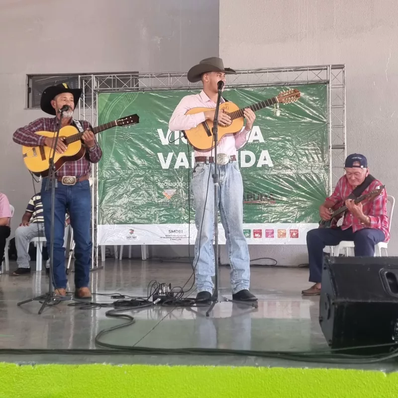 Viola na Varanda – 2025