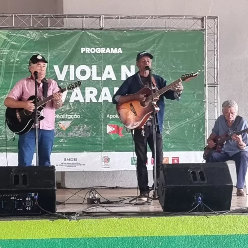 Viola na Varanda – 2025