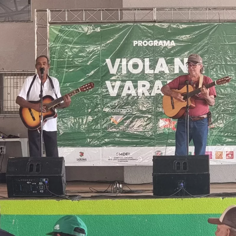 Viola na Varanda – 2025