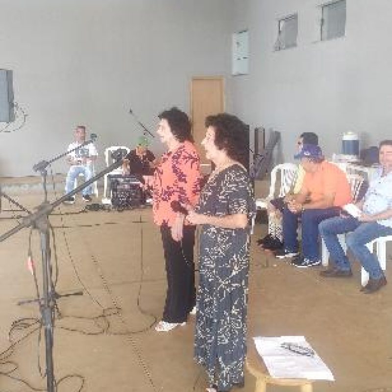 Viola na Varanda – 2025