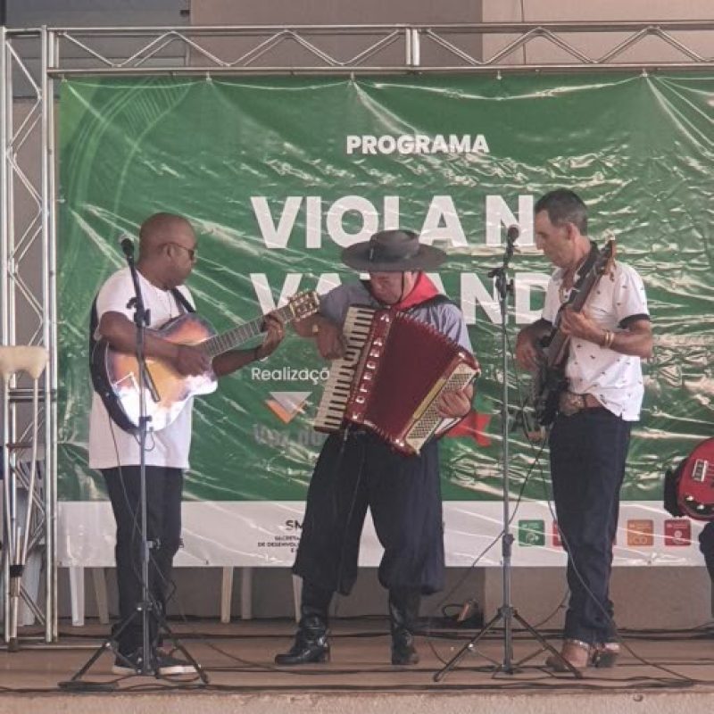 Viola na Varanda – 2025