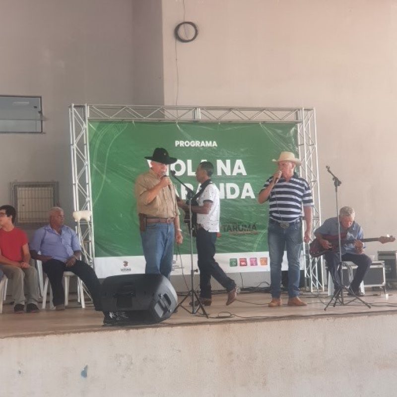 Viola na Varanda – 2025