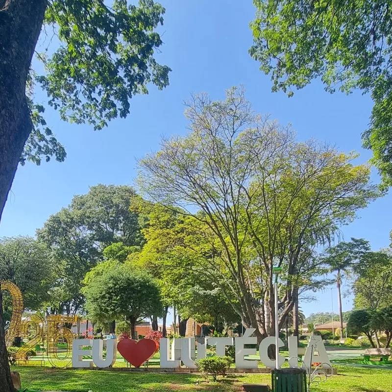 Viola na Varanda em Lutécia – Nov2025