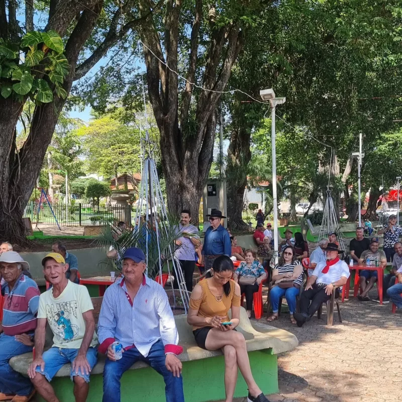 Viola na Varanda em Lutécia – Nov2025